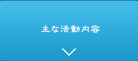 主な活動内容