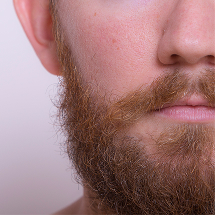 デブ・ペクスター　画像