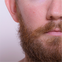 デブ・ペクスター　画像